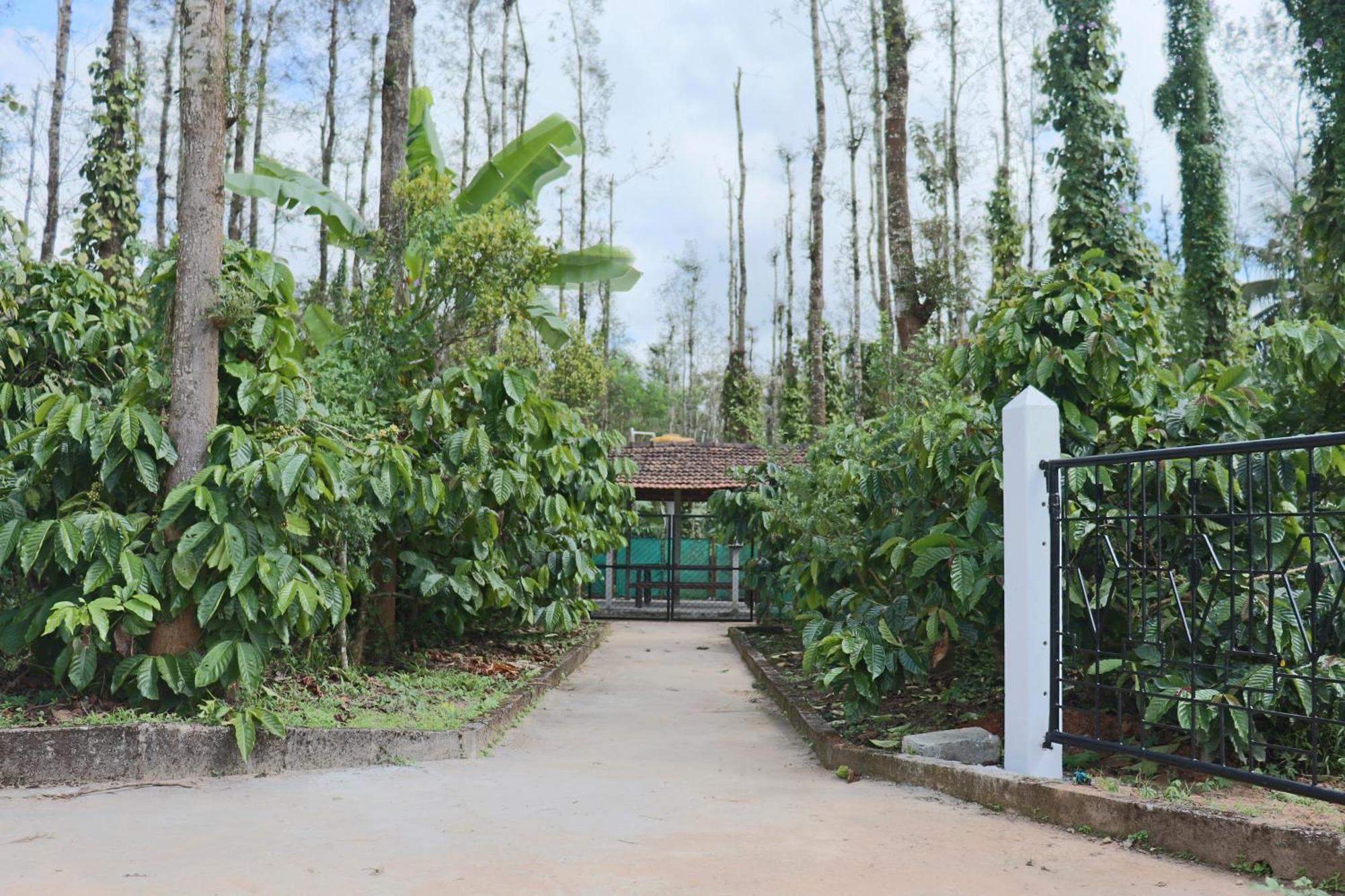 Coffeebean Villa - Unwind & Rejuvenate Sakleshpur Luaran gambar